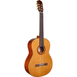 Cordoba C5 Classical Acoustic Guitar in Natural Finish Online now