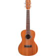 Cordoba 15CM Concert Mahogany Ukulele Supply