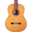 Cordoba C7 CD Classical Acoustic Guitar Cedar Top in Natural Finish Discount