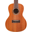 Cordoba 15CM Concert Mahogany Ukulele Supply