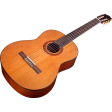 Cordoba C5 Classical Acoustic Guitar in Natural Finish Online now