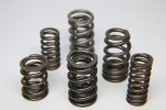 Ferrea 1.600in to 1.650in 1.160 1.610 OD 0.835 1.160 ID Dual Valve Spring - Single (Drop Ship Only) Fashion