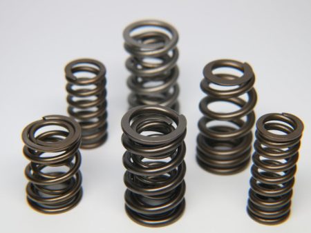 Ferrea 1.600in to 1.650in 1.160 1.610 OD 0.835 1.160 ID Dual Valve Spring - Single (Drop Ship Only) Fashion