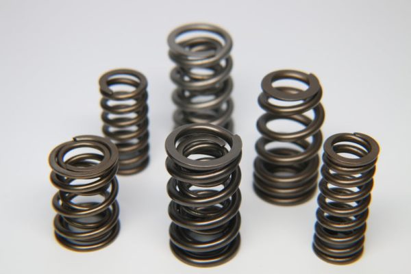 Ferrea 1.600in to 1.650in Dia 1.065 1.625 OD 0.77 1.175 ID Dual w Damper Valve Spring - Set of 16 Online