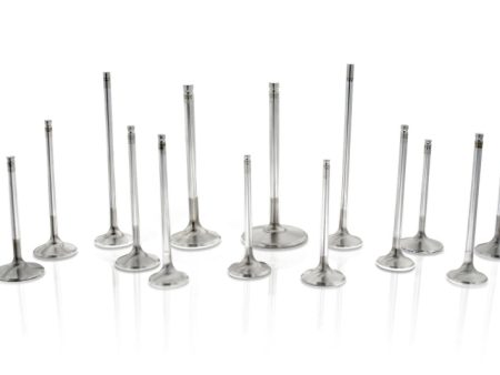 Ferrea Chevy SB 1.625in 11 32 5.160in 24 Deg Tulip Flo +.250 Comp Plus Exhaust Valve - Set of 8 Discount